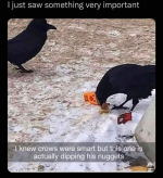 1665947732325.png
