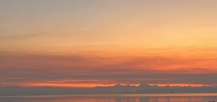07034D94-2E7F-43D5-AE63-B560E846C423.jpeg