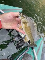 smallie.jpg smallie.jpg