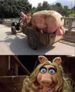 1666087818575.png