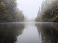 PXL_20221018_155423605~2.jpg