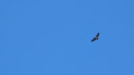 20221019_120445.jpg