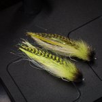 DSC04134.jpg