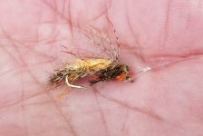 20221022_broke_fly.jpg