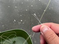 CA618103-4C51-462E-A1BE-01FB81421BE5.jpeg CA618103-4C51-462E-A1BE-01FB81421BE5.jpeg