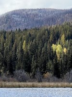 5C9A613B-5189-4AB0-84F6-352A944DF599.jpeg