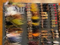 24 Dozen MT Flies(2).jpg