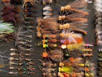 24 Dozen MT Flies(5).jpg