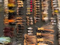 24 Dozen MT Flies(6).jpg