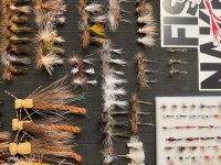 24 Dozen MT Flies(9).jpg