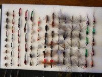 24 Dozen MT Flies(11).jpg