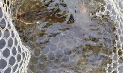 20221025_dry.jpg