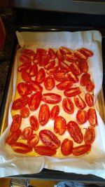 IMG_20221025_120443046.jpg