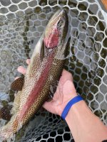 IMG_1662.jpg