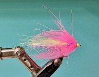 B4A14E64-9092-4F97-BE51-201524BEE2A7.jpeg