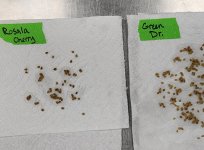 20221027_122345.jpg