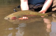 Deschutes arm1.jpg Deschutes arm1.jpg