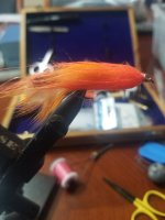 20221027_145131.jpg