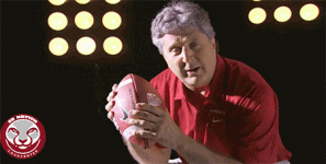 s25o65lrk35q.gif