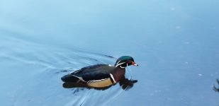 20220415_174705.jpg