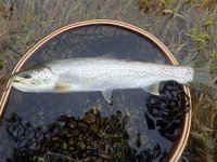 71A00E59-0297-4670-A868-F0F2E2B6FFA9.jpeg