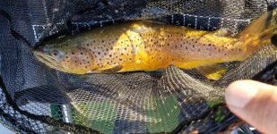 20191110_173954.jpg 20191110_173954.jpg