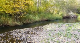 20221029_creek.jpg