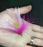 PXL_20221101_025201630.jpg