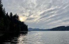 918B6357-5759-4DC1-A97A-C634D8D6281E.jpeg