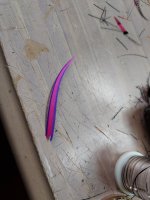 20221031_160517.jpg
