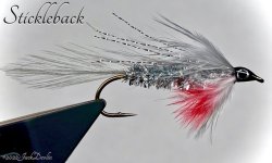 IMG_2054.jpeg