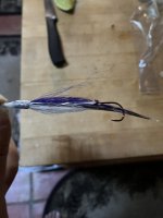 910D4252-0DF9-47EC-A3A1-CBDDD75D296C.jpeg