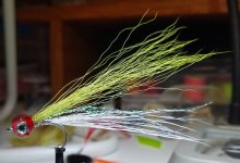 IMG_20221104_220103865.jpg