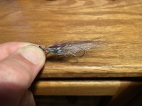 33B21C68-479C-4FD1-B16C-04BE1968AAFA.jpeg