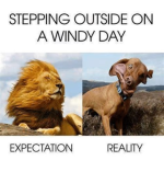 1667688361031.png