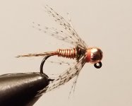 20221106_065628.jpg 20221106_065628.jpg