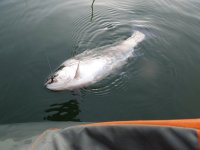 DSCN2632.JPG