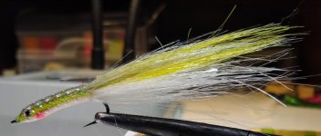 IMG_20221107_205827752.jpg