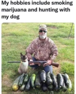 1667919912306.png