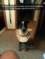 1667950323758.png