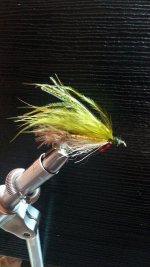 20161021_193034.jpg