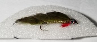20201208_221757.jpg
