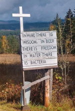 1667996069823.png