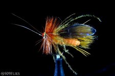 DSC_0026 - edit 1.jpg