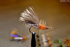 DSC_1648 - edit 1.jpg