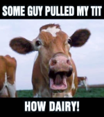 1668084514828.png