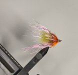 PXL_20221110_173730355.jpg