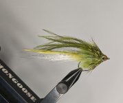 PXL_20221111_043535674.jpg