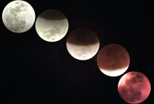 0-100% eclipse-2-vibrance copy.jpg 0-100% eclipse-2-vibrance copy.jpg