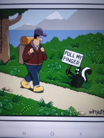 1668252832351.png